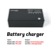 Motorcycle Battery Charger 20A Adjust Charger Fast Charging Universal Electric Bike 20A Adjustable Charger Motorcycle for Surron