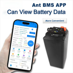 Woodniu Racein Lithium Battery & 72V Charger - Ant BMS & App for Surron Light Bee X Off-Road Motorcycle
