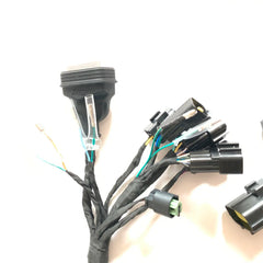 For SURRON Ultra Bee Main Harness Electric Motocross Motorcycles For Surron Original UB Main Harness Wiring Harness Main Cable